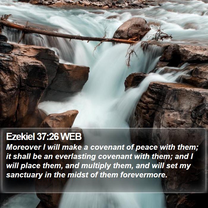 Ezekiel 37:26 WEB Bible Study