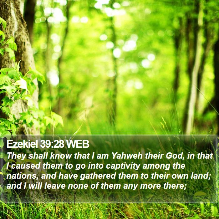 Ezekiel 39:28 WEB Bible Study