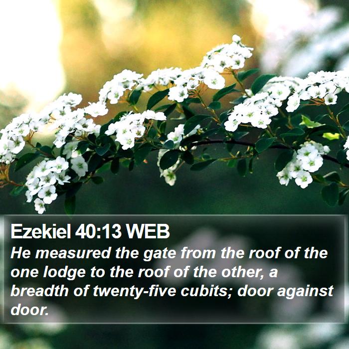 Ezekiel 40:13 WEB Bible Study