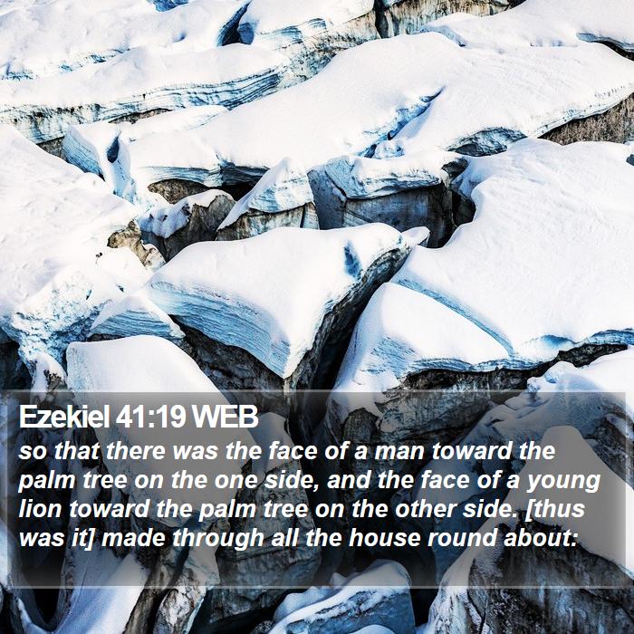 Ezekiel 41:19 WEB Bible Study