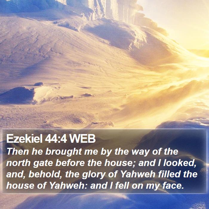 Ezekiel 44:4 WEB Bible Study