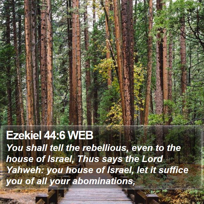 Ezekiel 44:6 WEB Bible Study