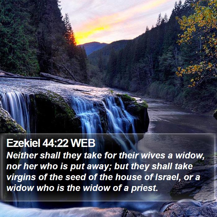 Ezekiel 44:22 WEB Bible Study