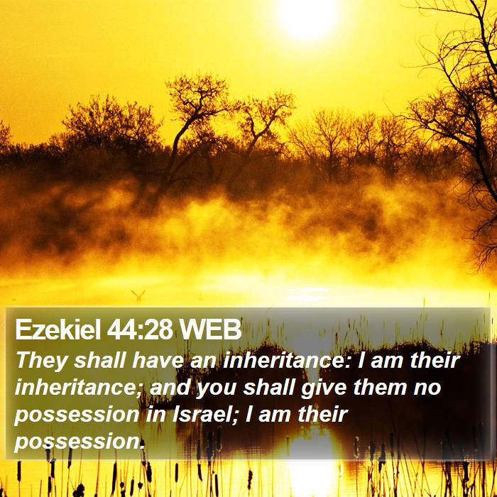 Ezekiel 44:28 WEB Bible Study