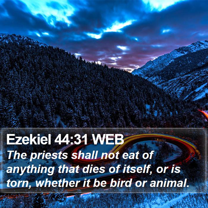 Ezekiel 44:31 WEB Bible Study