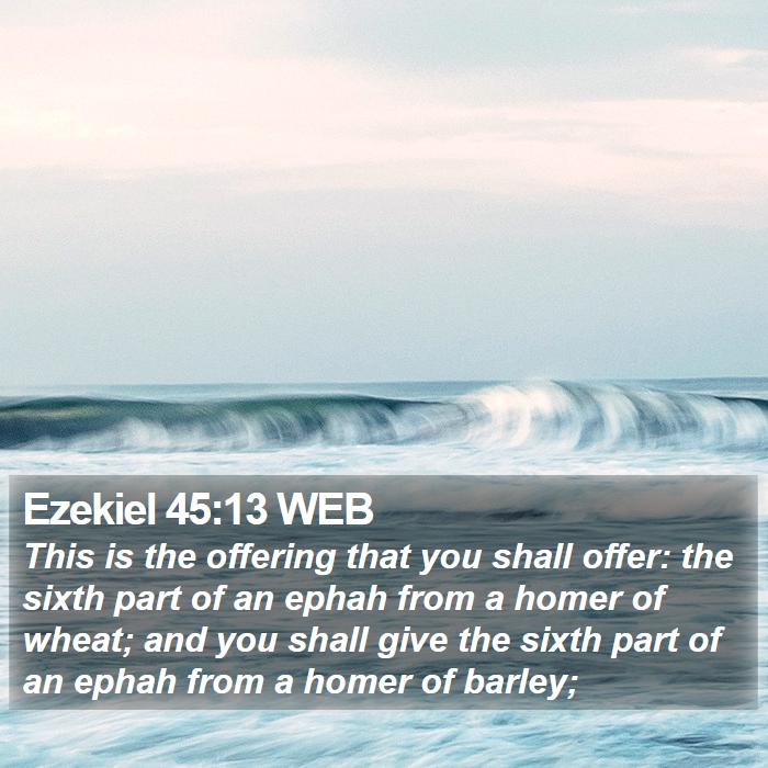 Ezekiel 45:13 WEB Bible Study