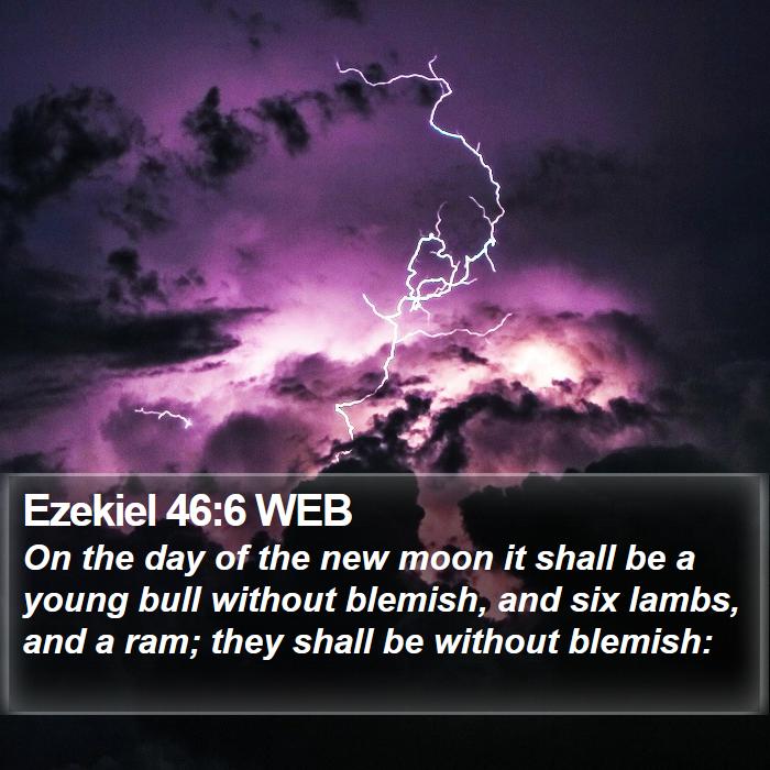 Ezekiel 46:6 WEB Bible Study