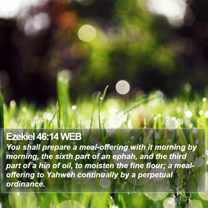 Ezekiel 46:14 WEB Bible Study