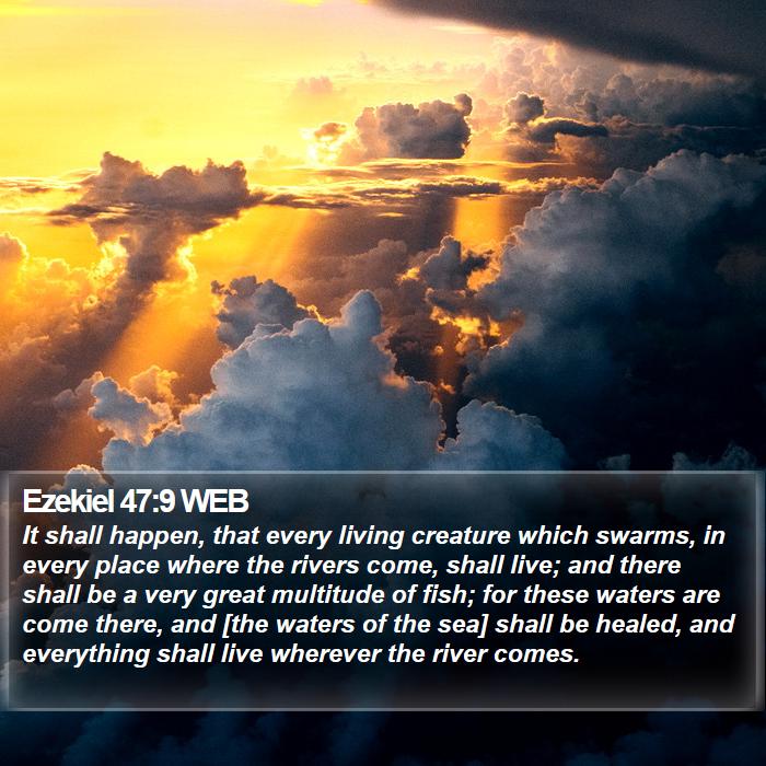 Ezekiel 47:9 WEB Bible Study