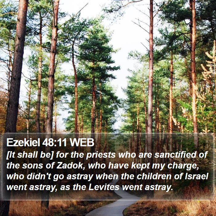 Ezekiel 48:11 WEB Bible Study