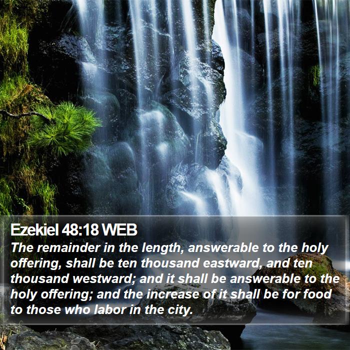 Ezekiel 48:18 WEB Bible Study