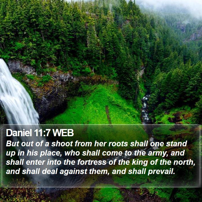 Daniel 11:7 WEB Bible Study