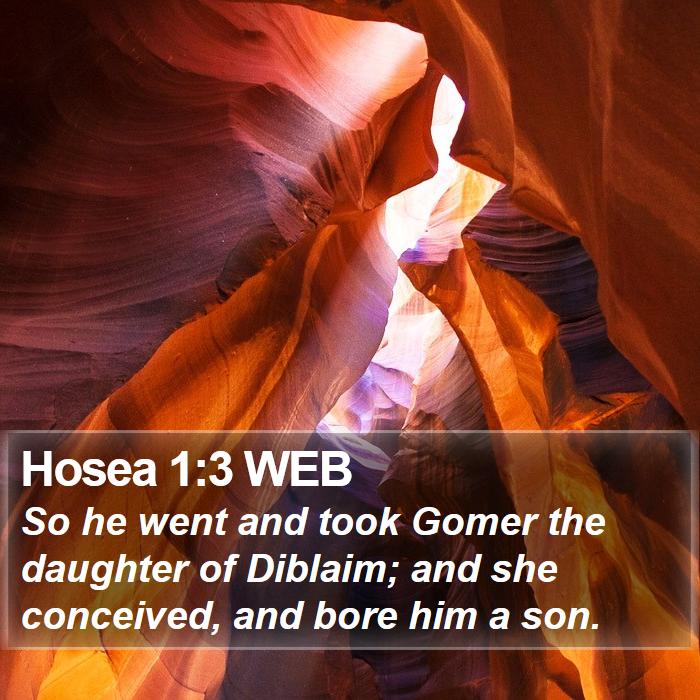 Hosea 1:3 WEB Bible Study