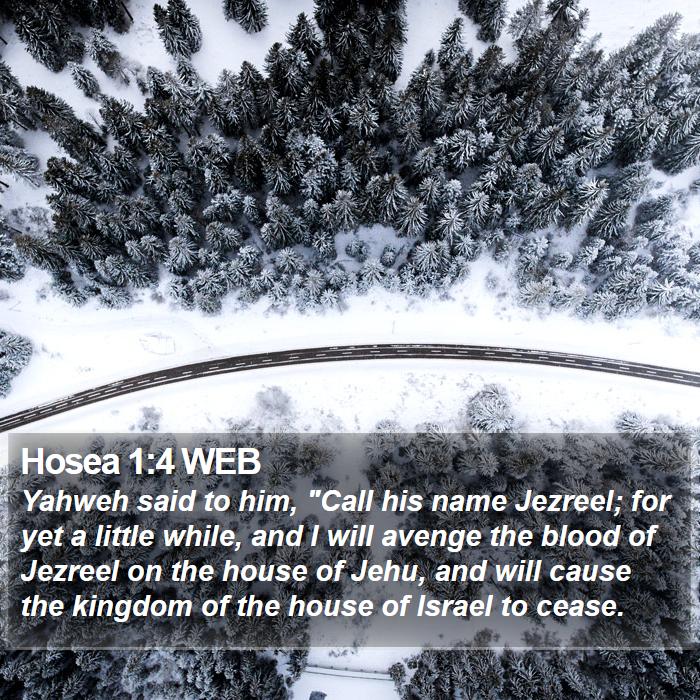 Hosea 1:4 WEB Bible Study