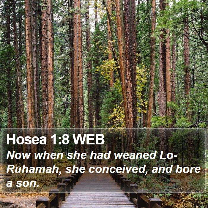 Hosea 1:8 WEB Bible Study