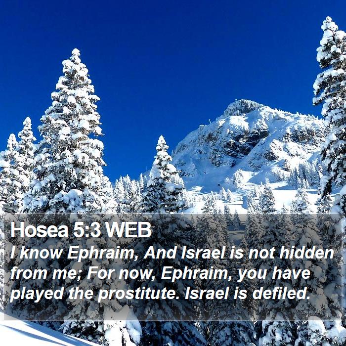 Hosea 5:3 WEB Bible Study