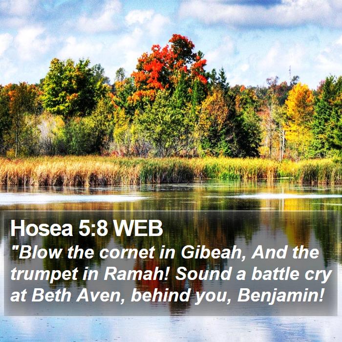 Hosea 5:8 WEB Bible Study