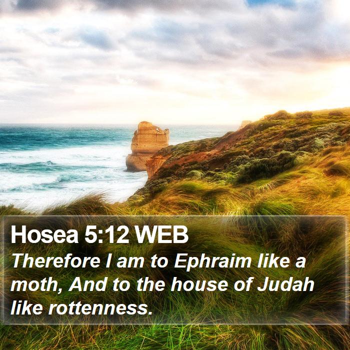 Hosea 5:12 WEB Bible Study