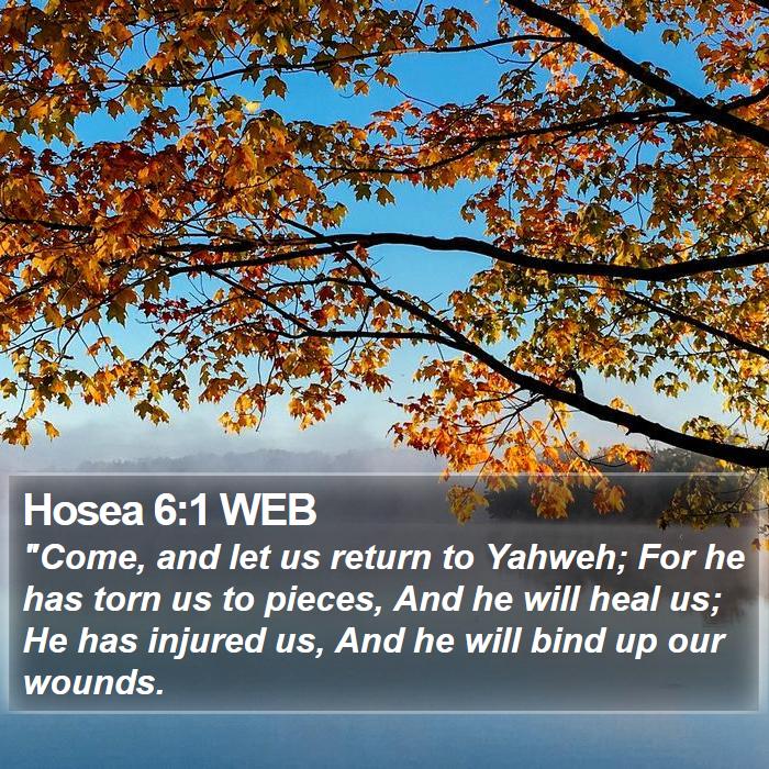 Hosea 6:1 WEB Bible Study