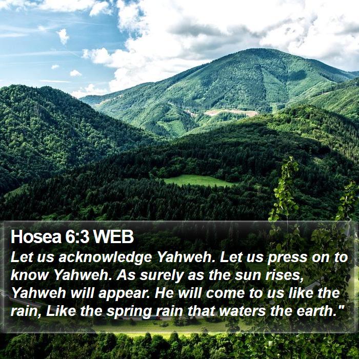 Hosea 6:3 WEB Bible Study