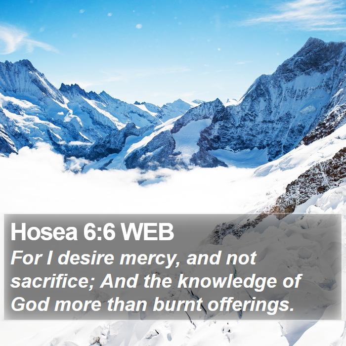 Hosea 6:6 WEB Bible Study