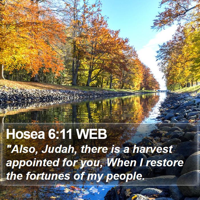 Hosea 6:11 WEB Bible Study