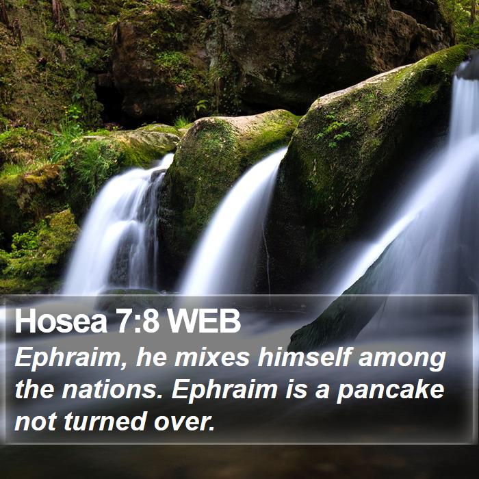 Hosea 7:8 WEB Bible Study