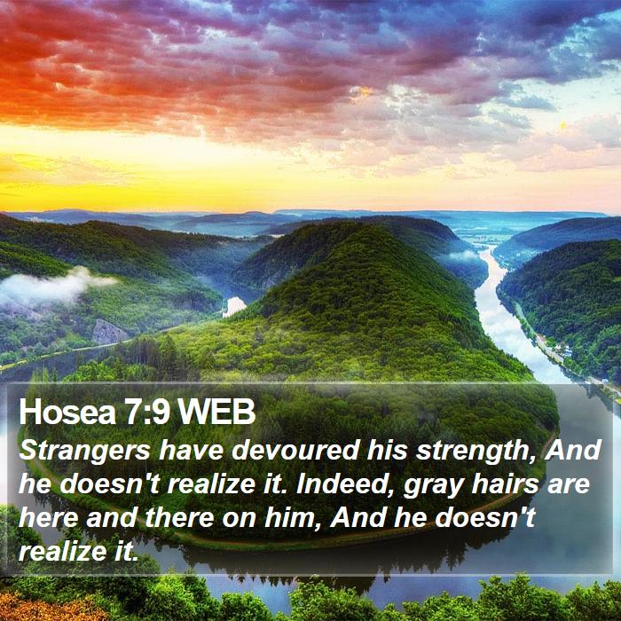 Hosea 7:9 WEB Bible Study