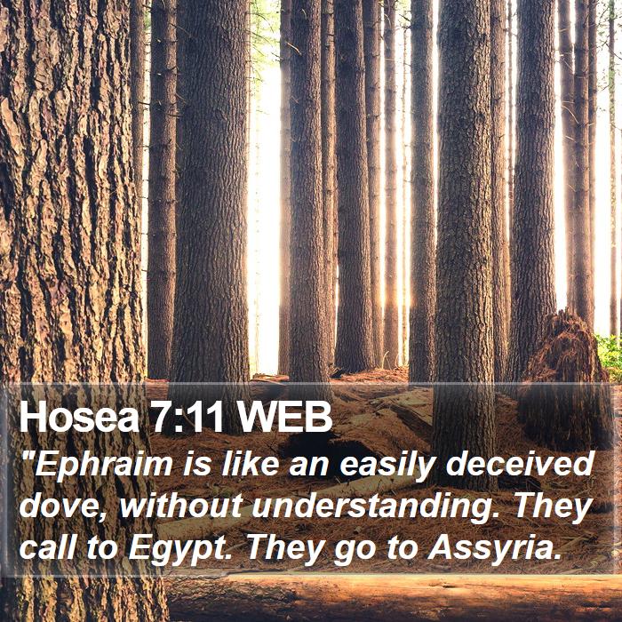 Hosea 7:11 WEB Bible Study