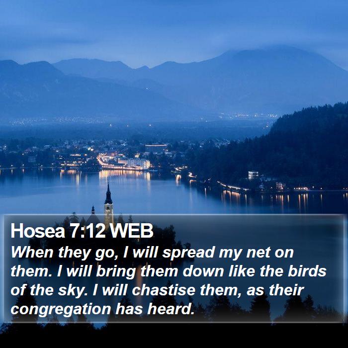 Hosea 7:12 WEB Bible Study