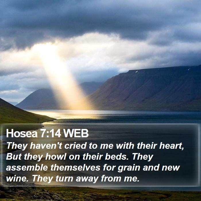 Hosea 7:14 WEB Bible Study