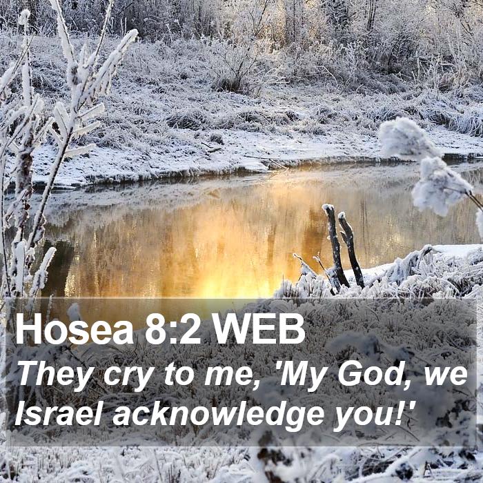 Hosea 8:2 WEB Bible Study