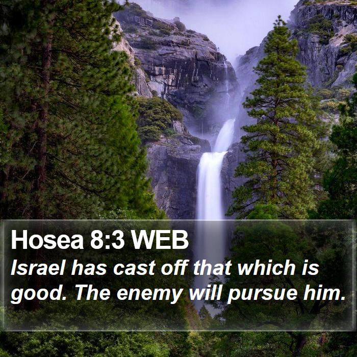 Hosea 8:3 WEB Bible Study