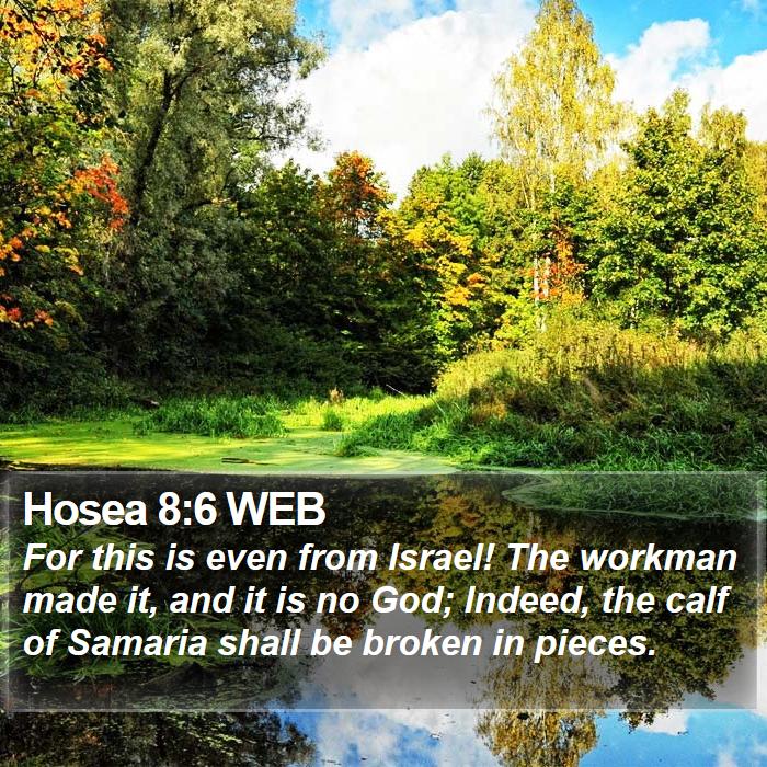 Hosea 8:6 WEB Bible Study