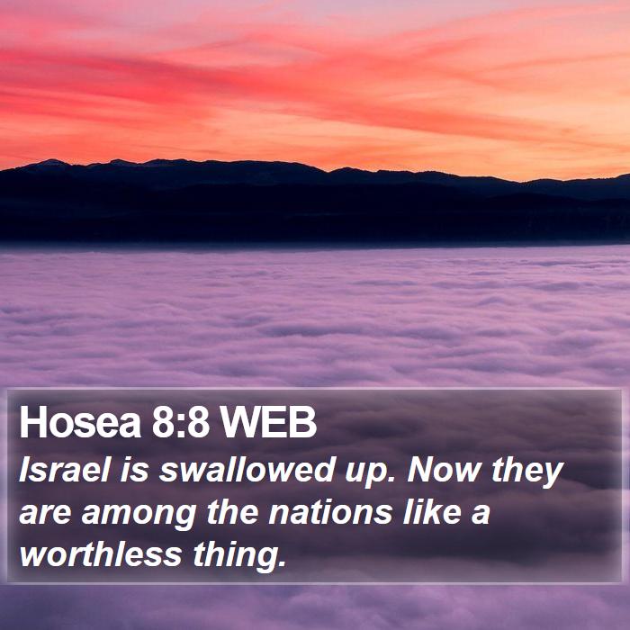 Hosea 8:8 WEB Bible Study