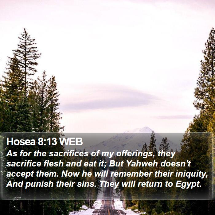 Hosea 8:13 WEB Bible Study