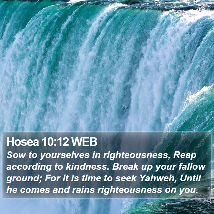 Hosea 10:12 WEB Bible Study