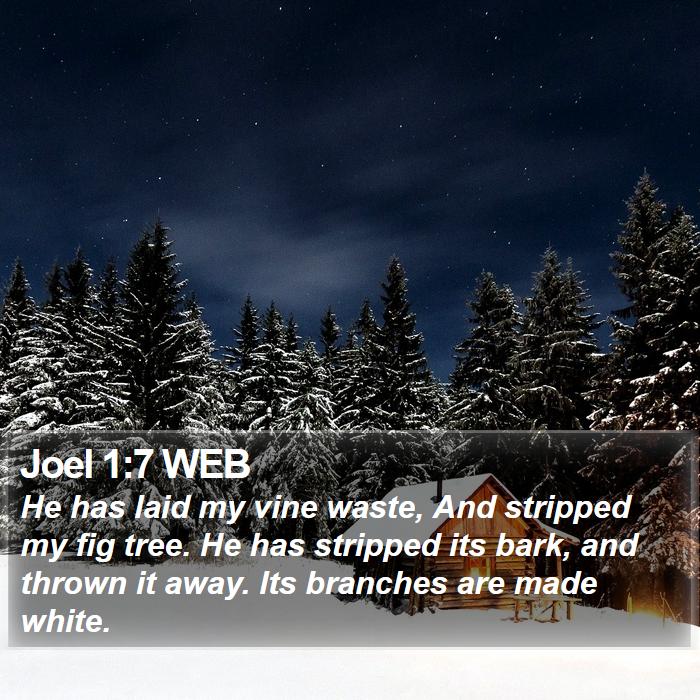 Joel 1:7 WEB Bible Study