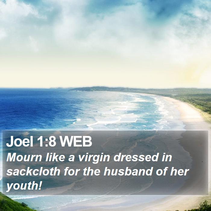 Joel 1:8 WEB Bible Study