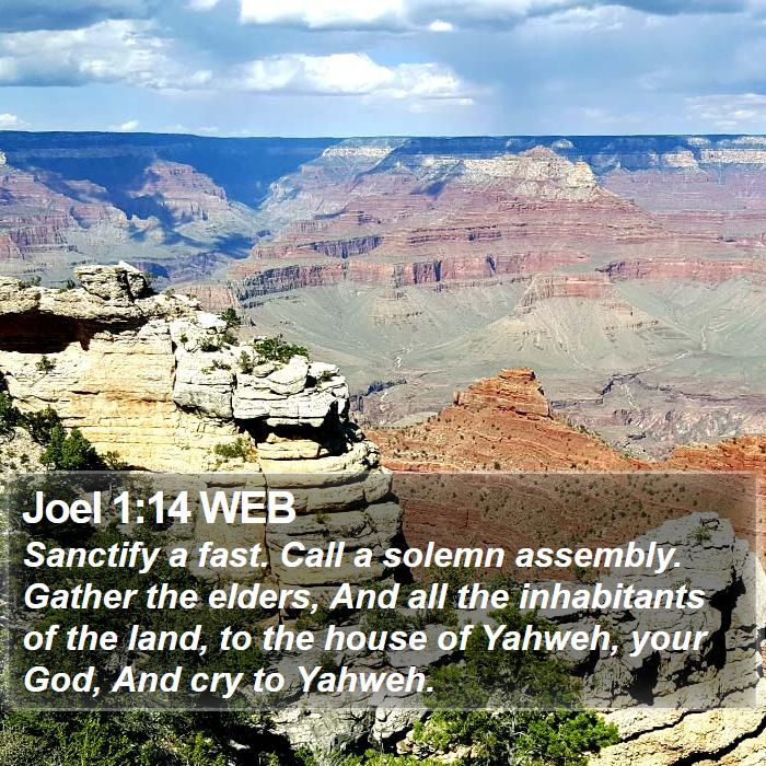 Joel 1:14 WEB Bible Study