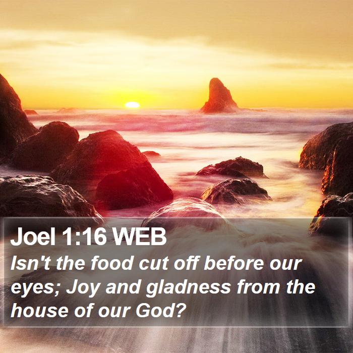 Joel 1:16 WEB Bible Study