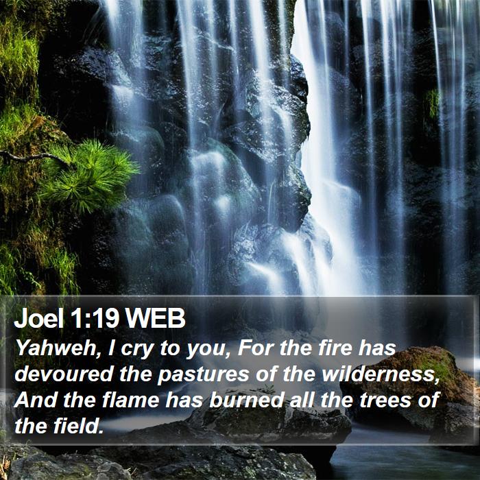 Joel 1:19 WEB Bible Study