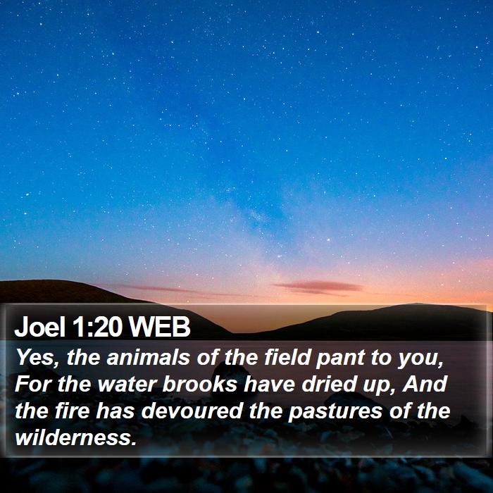 Joel 1:20 WEB Bible Study