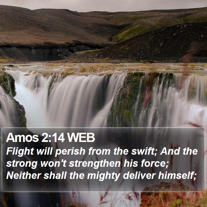 Amos 2:14 WEB Bible Study