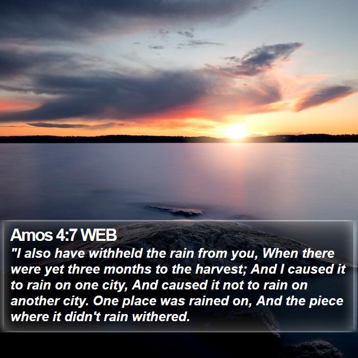 Amos 4:7 WEB Bible Study