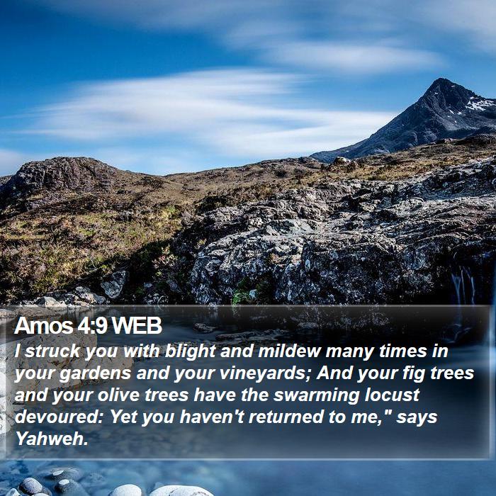 Amos 4:9 WEB Bible Study