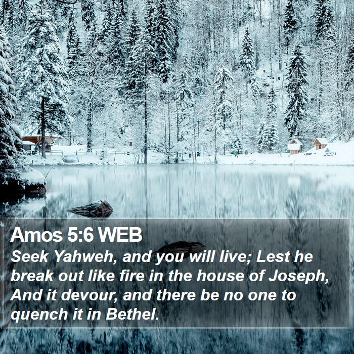 Amos 5:6 WEB Bible Study