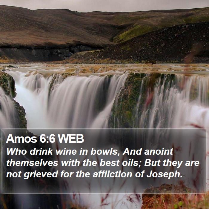 Amos 6:6 WEB Bible Study