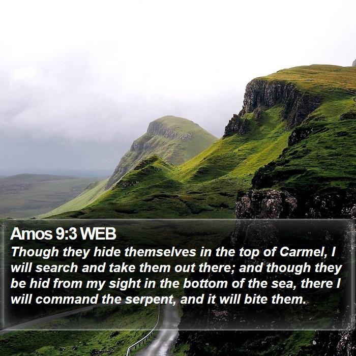 Amos 9:3 WEB Bible Study