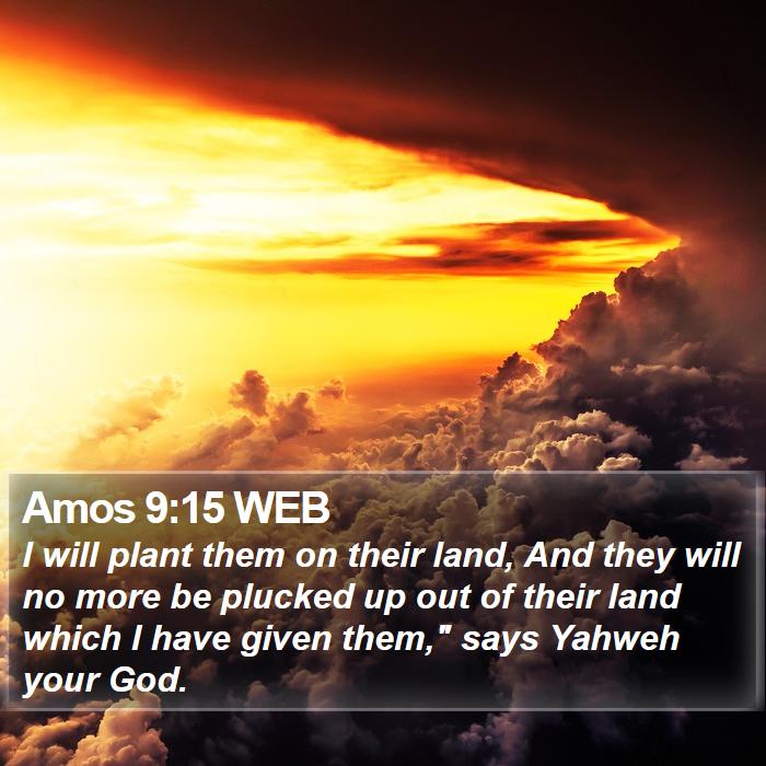 Amos 9:15 WEB Bible Study